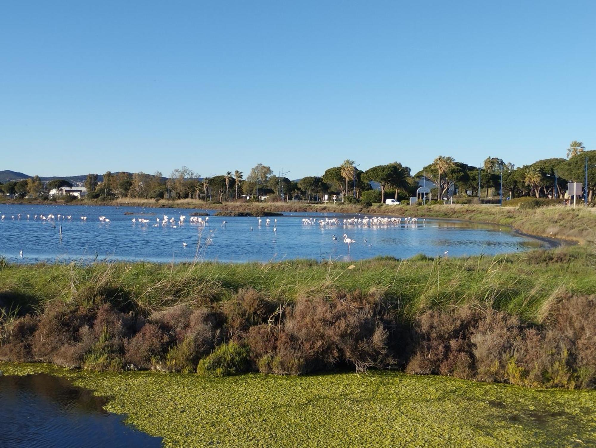 Le Surplage Hyeres Luaran gambar