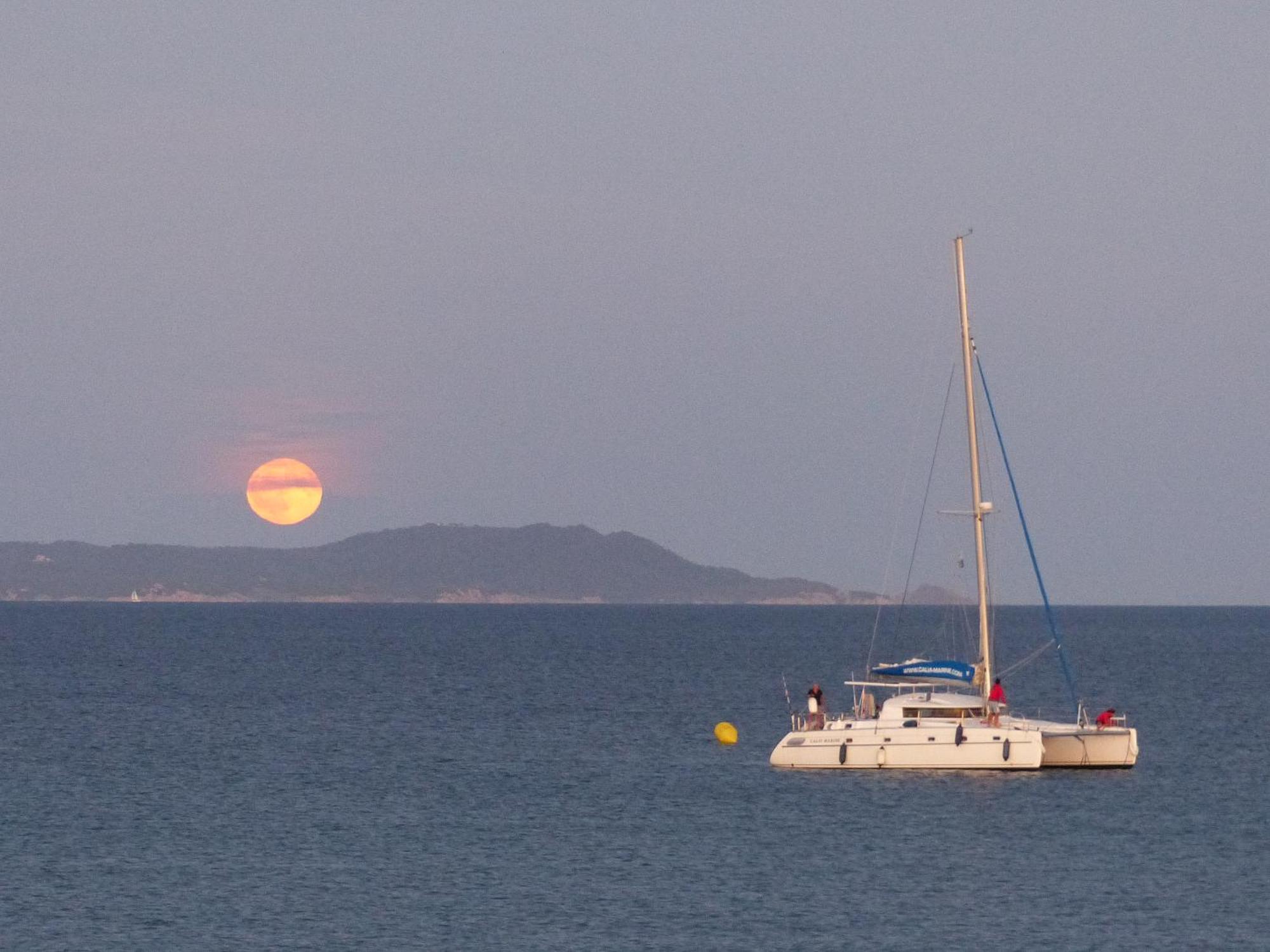 Le Surplage Hyeres Luaran gambar